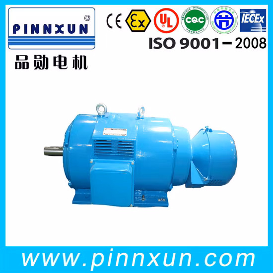 製鉄所用低電圧三相誘導交流電気IP23スリップリングモーター